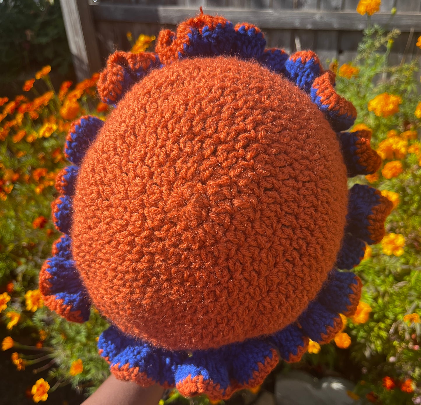 Rustic orange w/ Blue Accent